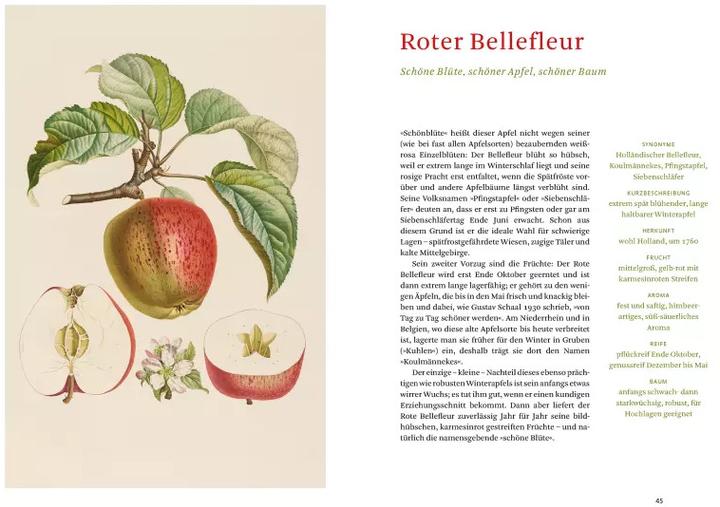 Produktbild Die alten Obstsorten (Deutsch, Sofia Blind, Staatsbibliothek zu Berlin, 2020)