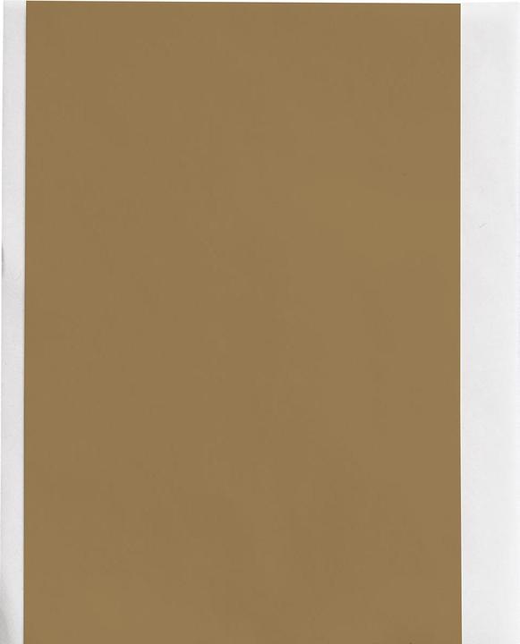 Immagine prodotto Brady M6C-2000-595-GD, nastro vinilico ad alte prestazioni, oro, lucido, 50,80 mm x 15,24 m, permanente