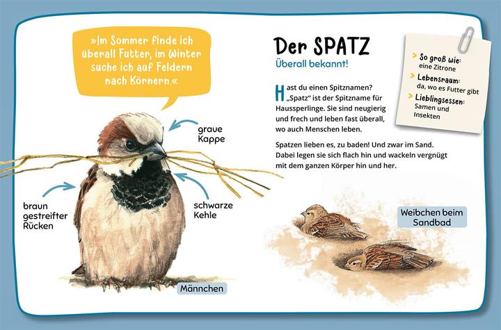 Produktbild Kosmos Mein erster Naturführer, Was fliegt denn da? (Deutsch, Lea Hille, 2023)