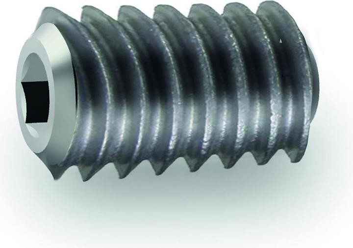 Heusser Perno filettato (Door set)
