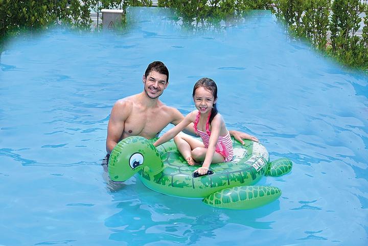 Actual product image Jilong Turtle