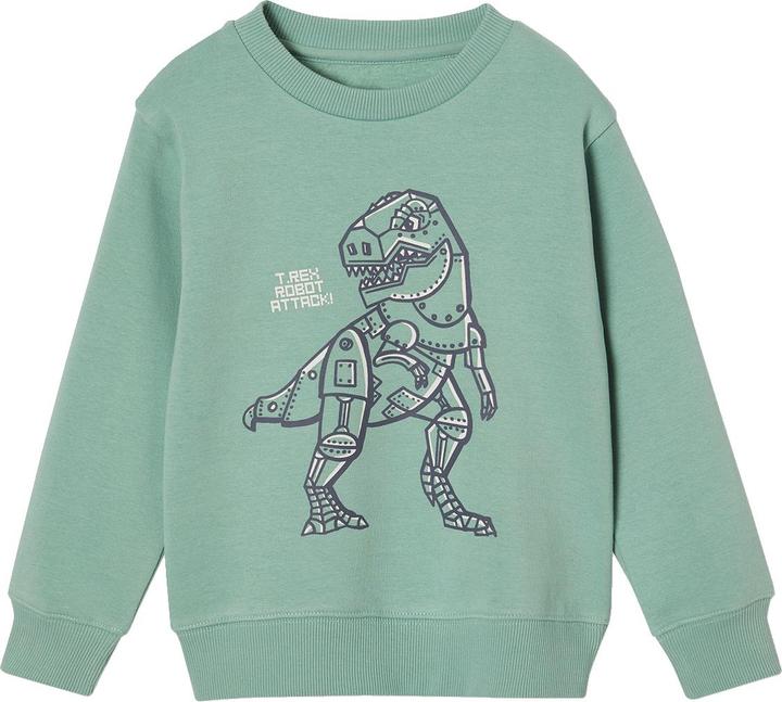 Vertbaudet Jungen Sweatshirt BASIC mit Print und Recycling-Polyester