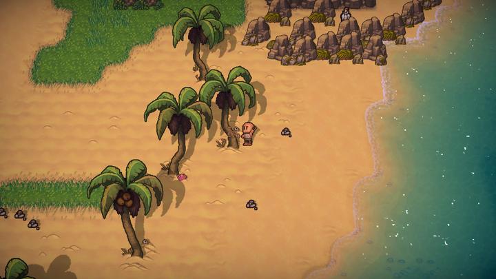 Produktbild Plaion The Survivalists (PS4, EN)