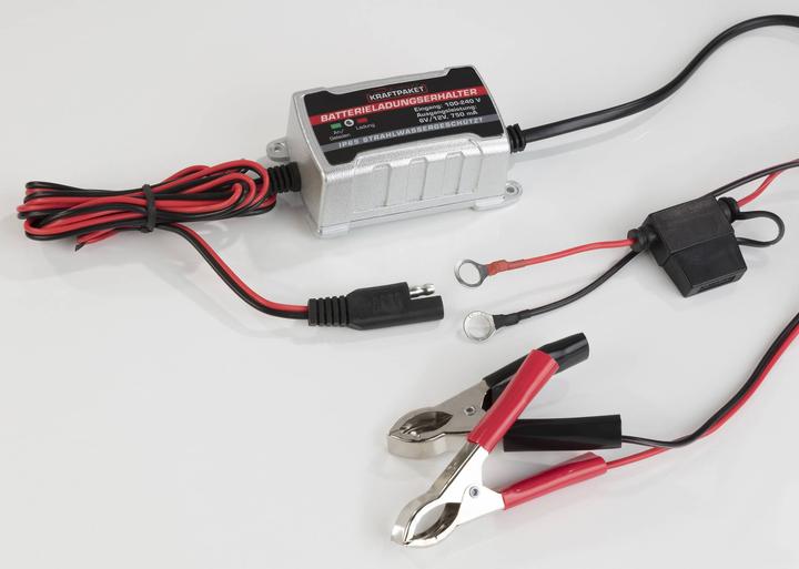 Image du produit Dino Chargeur automatique (12V, 6V, 0.75 A)