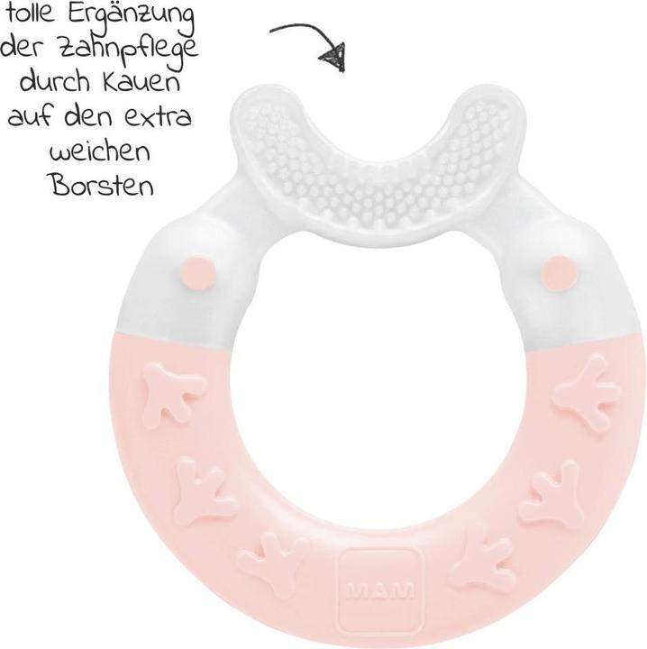 Produktbild MAM Beissringe & Zahnungshilfen Beissring Bite & Brush - Rosa