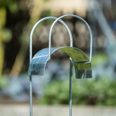Actual product image Alba Girasole
