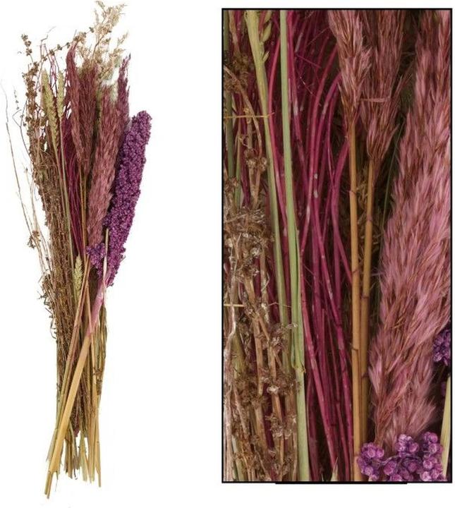 Image du produit Dijk Bouquet de fleurs séchées (Fleurs séchées)