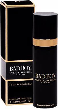 Produktbild Carolina Herrera Bad Boy (Spray, 100 ml)