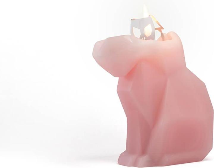 Immagine prodotto 54Celsius PyroPet Kisa (1 pz.)