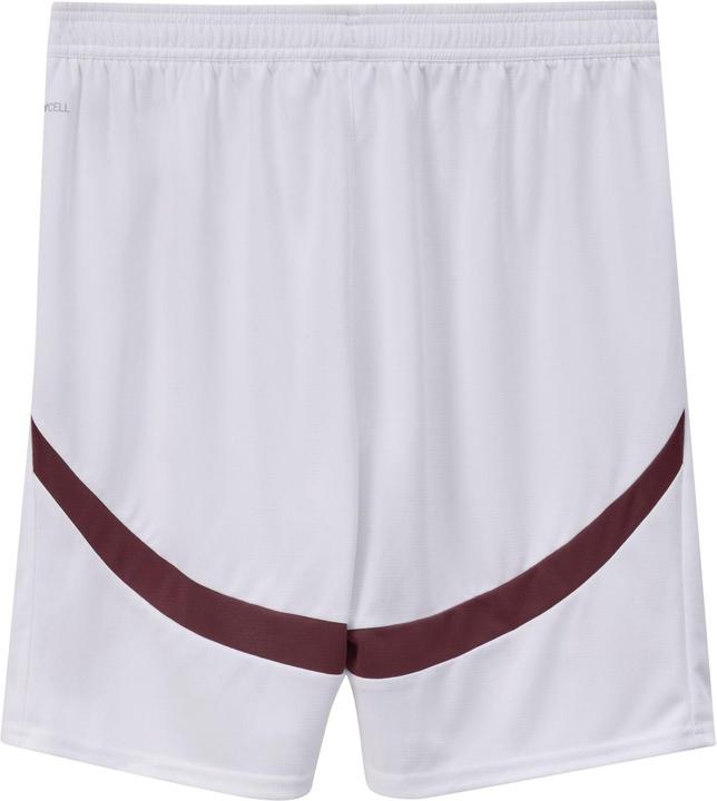 Actual product image Puma SFV Shorts Replica (XL)