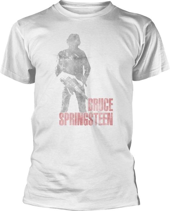 Bruce Springsteen Hologram