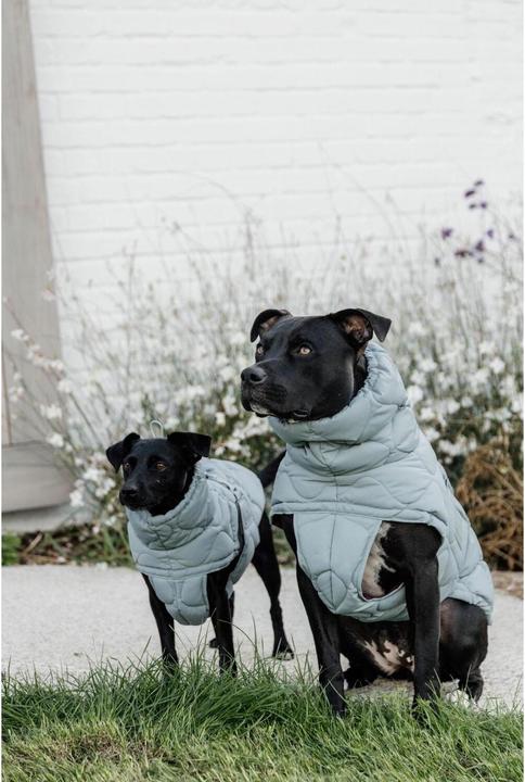 Image du produit Kentucky Horsewear manteau pour chien pina (XS, Manteau pour chien)
