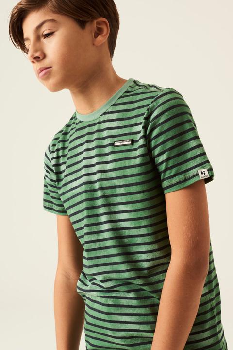 Actual product image Garcia Green Striped T Shirt (164)