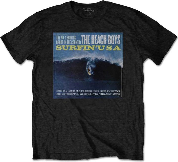 The  Beach Boys Surfin' Usa