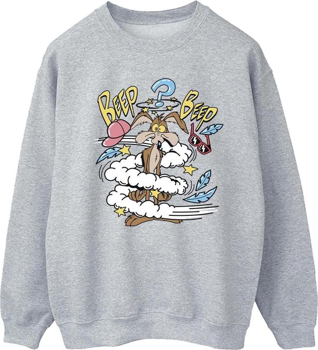 Looney Tunes Coyote Daze Sweatshirt (XXL)