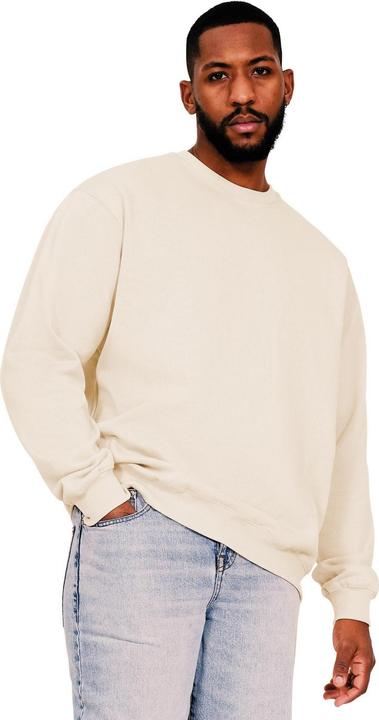 Universal Textiles Sweatshirt aus ringgesponnener Baumwolle in Übergrösse (S)
