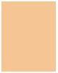 Immagine prodotto Rimmel London Perfezione dell'abbinamento SPF20 (102 Nudo leggero)