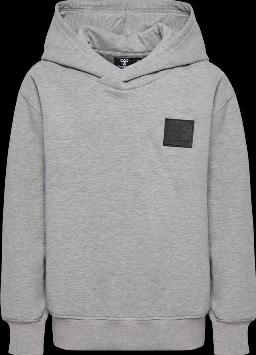 Image du produit hummel hmlCLEAN HOODIE (104)