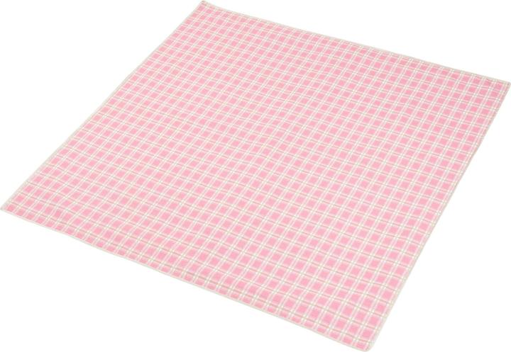 Actual product image Casa.Pro Picknickkorb Bucchianico für 2 Personen Komplettset