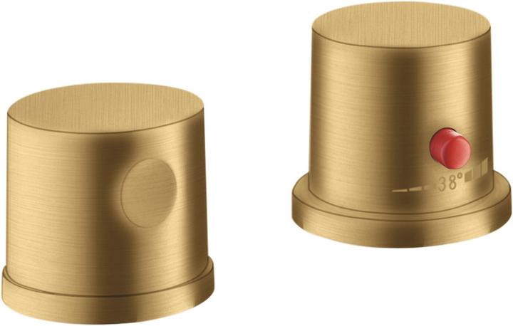 Brushed Gold Optic