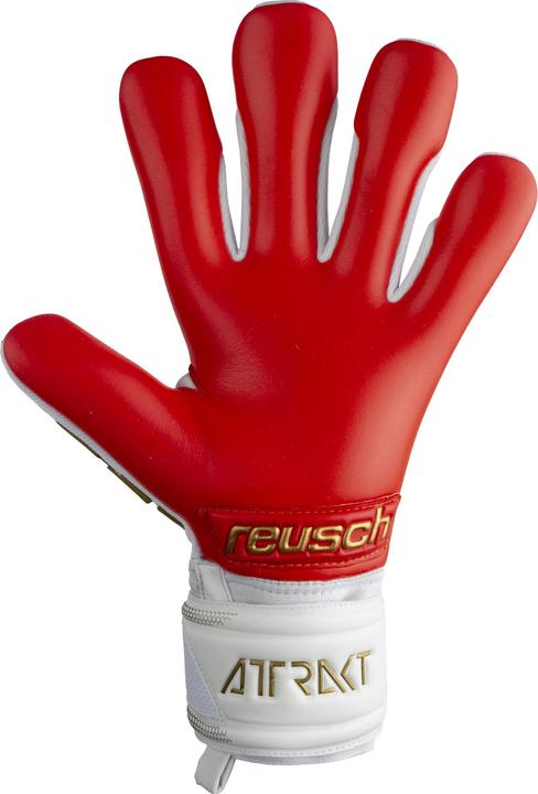 Produktbild Reusch Attrakt Freegel Silver Torwarthandschuh (8)