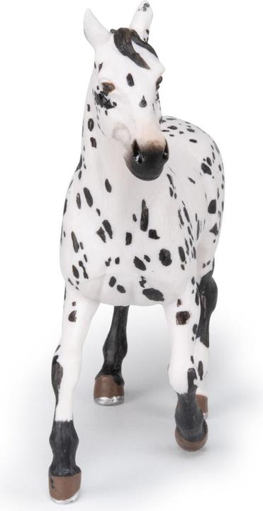 Actual product image Papo Appaloosa horse black
