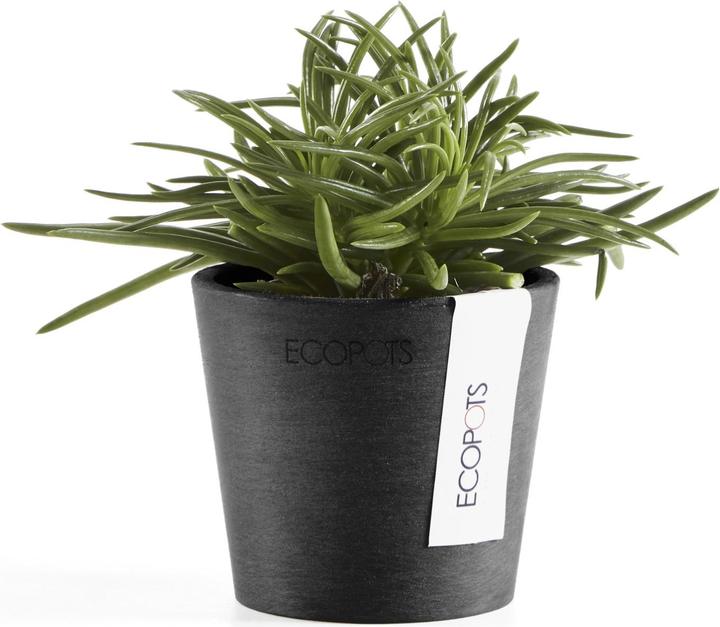 Actual product image Ecopots Amsterdam Mini (8 cm)