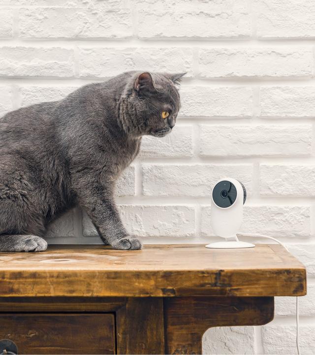 Actual product image Xiaomi Mi Home Security Camera Basic 1080p (1920 x 1080 Pixels)