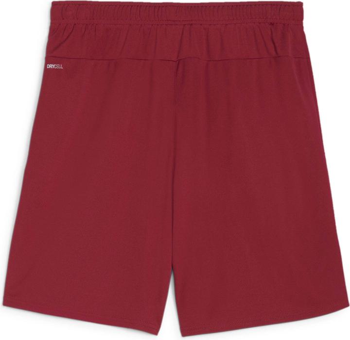 Actual product image Puma teamGOAL shorts (L)