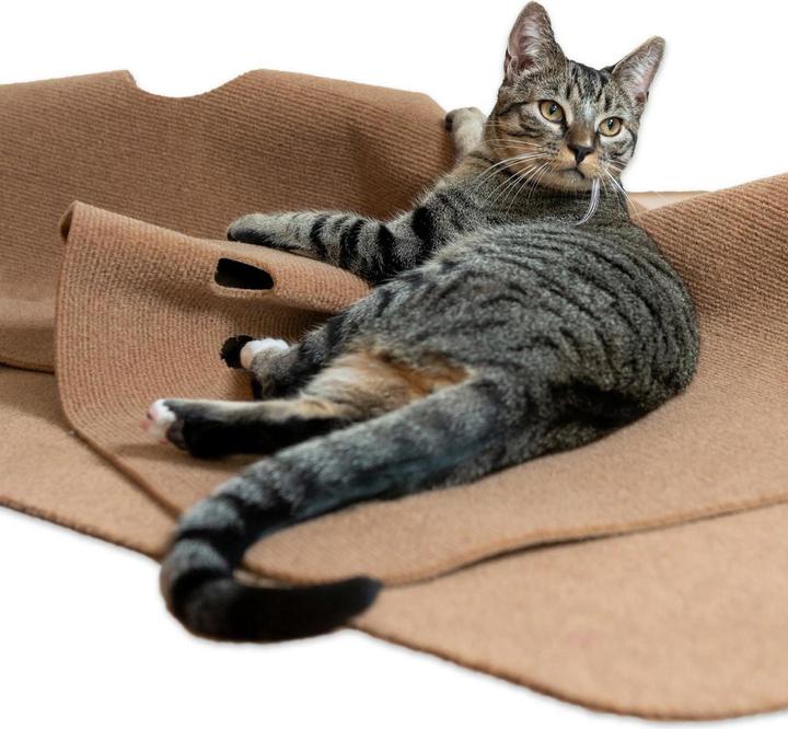 Produktbild CanadianCat Spielteppich, 90 x 120 cm, Braun