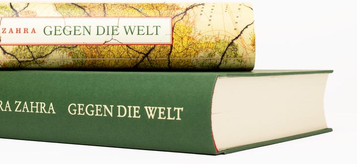 Produktbild Gegen die Welt (Deutsch, Tara Zahra, Michael Bischoff, 2024)