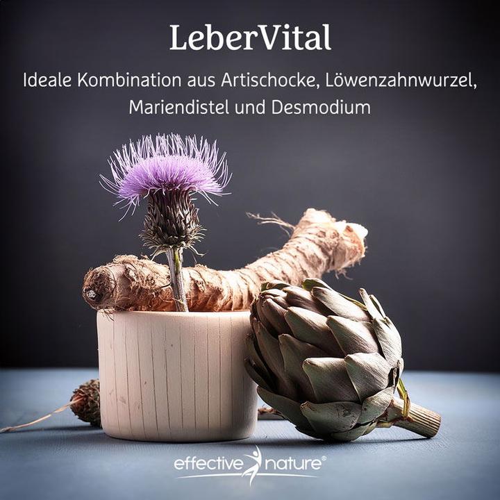 Actual product image Effective Nature LiverVital-Complex (90 Piece)