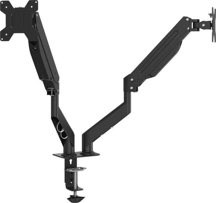 Actual product image VidaXL Double monitor arm for max 27 inch VESA 75/100 mm 20 kg (27")