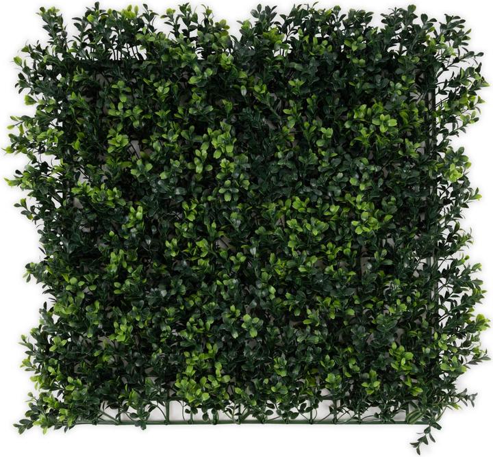 Immagine prodotto Karat Parete di piante di bosso (50 cm)