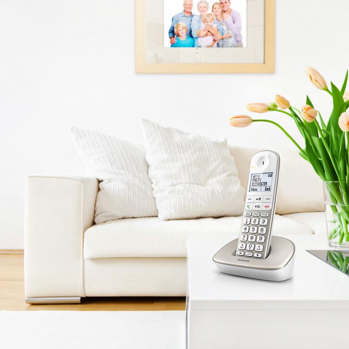 Image du produit Philips Wireless Phone 1,9 DECT