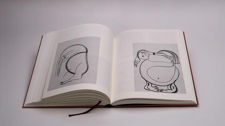 Image du produit Pils:Tobias Pils (Anglais, Willi Schmid, Galerie David Kordansky, Richard Shiff, Galerie Gisela Capitain, Galerie Eva Presenhuber, Tobias Pils, 2024)