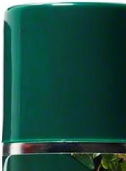 Bosch Home & Garden Pflegespray (250 ml)