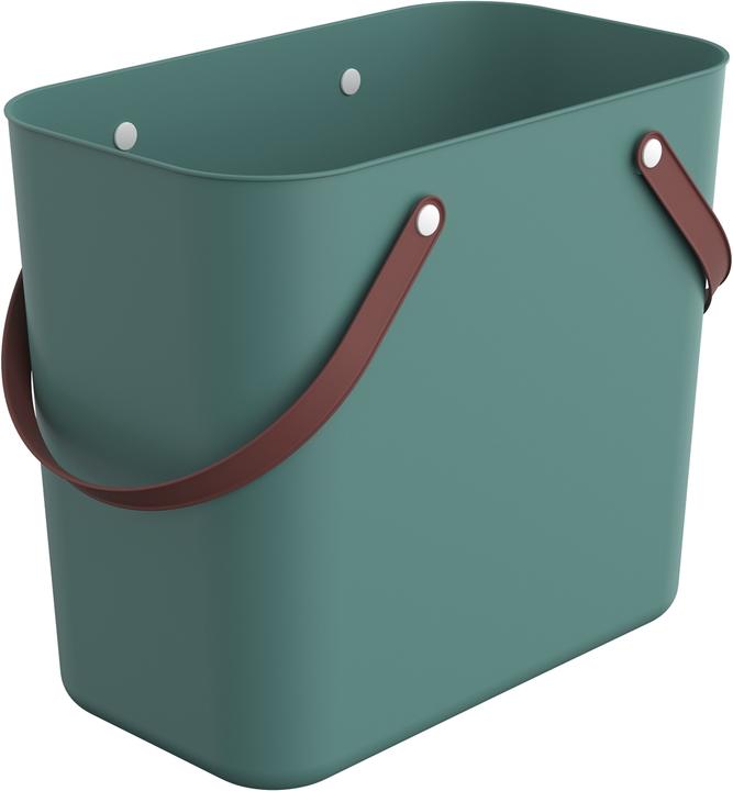 Verde vischio