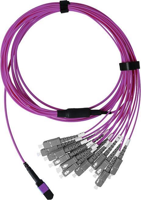 Image du produit BlueOptics Fibre optique MTP/8xSC Duplex Breakout Cable OM4 3 mètres (3 m)
