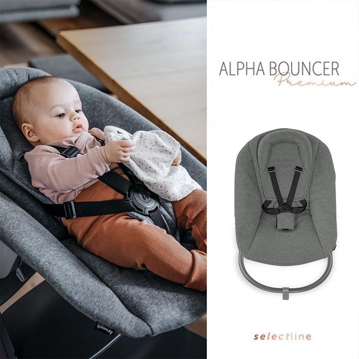 Produktbild Hauck Hochstühle Alpha Plus Natur XXL Newborn Set - Hochstuhl + 2in1 (Hochstuhl)