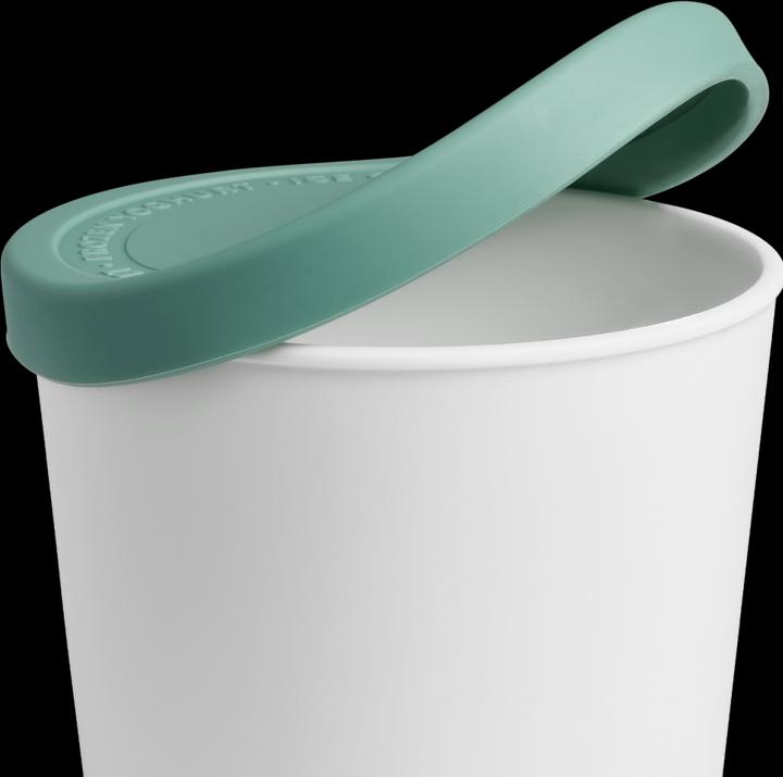 Actual product image Springlane Ice cream containers for ice cream
