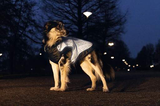 Produktbild Beeztees Allia (52, Hundemantel)