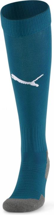 Actual product image Puma Team LIGA Socks CORE-703441 (35, 38)