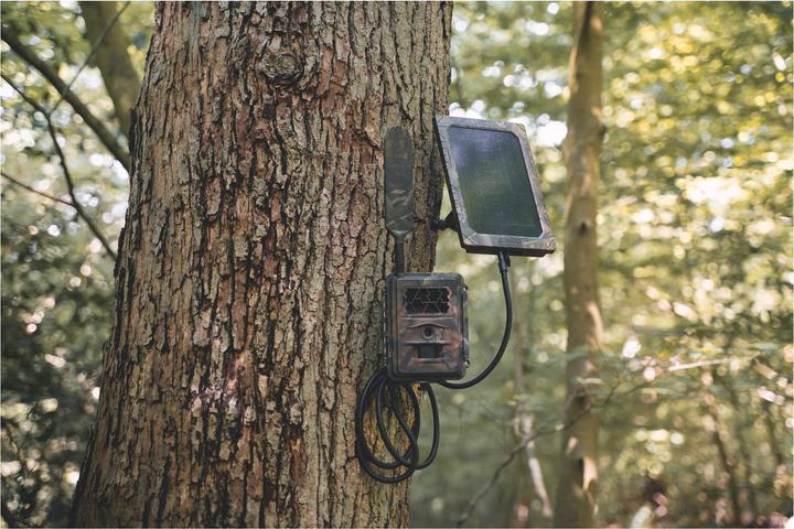 Produktbild Seissiger Wildkamera Special-Cam LTE