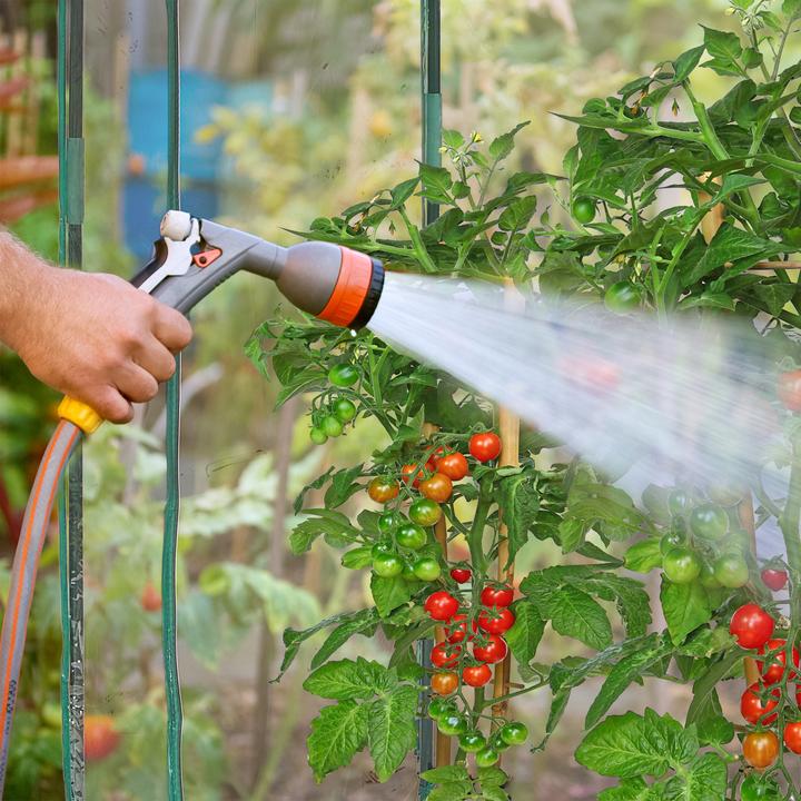 Actual product image Relaxdays Tomatengewächshaus