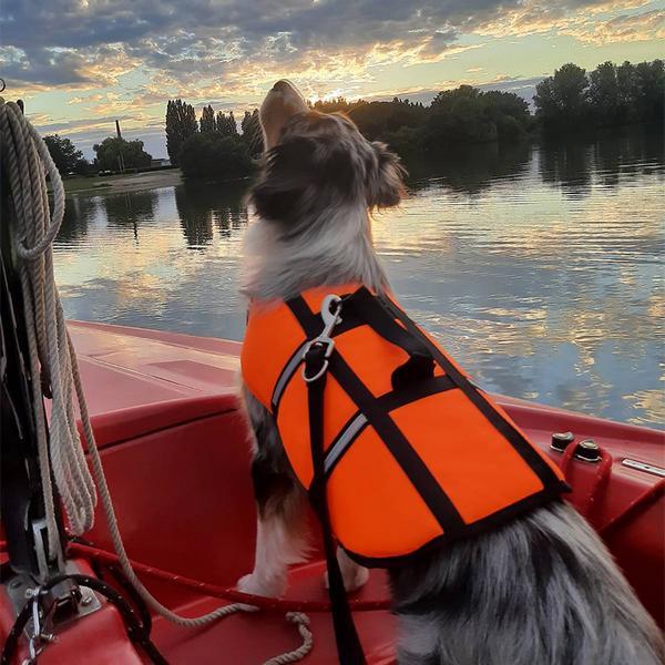 Image du produit Nobby Aide à la natation pour chiens (XS, Gilet de sauvetage pour chien)