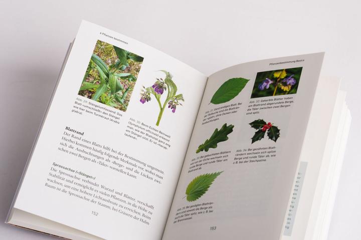 Immagine prodotto Mein Wildkräuter-Guide (Tedesco, Manuel Larbig, 2021)