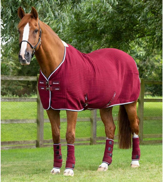 Immagine prodotto Premier Equine Premtex (168 cm)