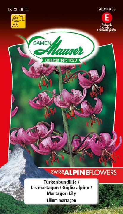 Produktbild Samen Mauser Türkenbundlilie (Blumensamen)
