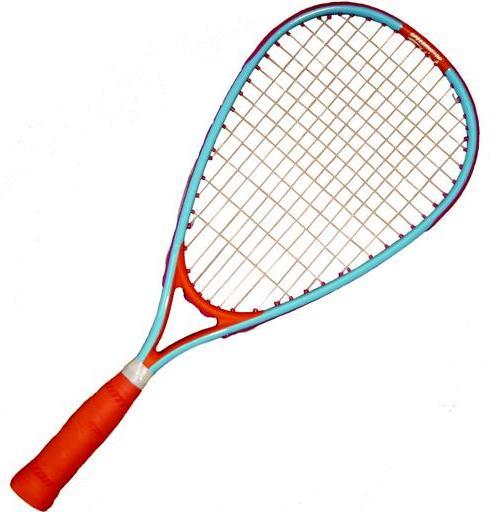 Actual product image IQ Sport Speedminton® School Set 30 Special